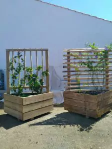 Ml Paysages Paysagiste Noirmoutier IMG 20190426 134737